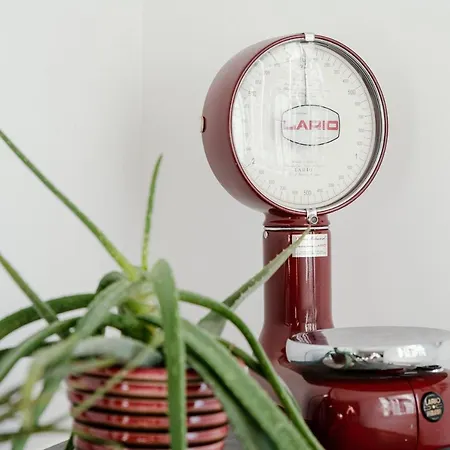 Apartament In Lina By Solutions