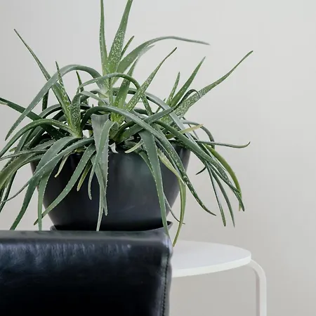 In Lina By Solutions Apartament Brunate